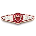 custom metal pin badges
